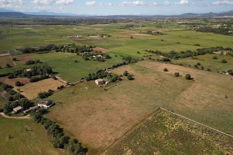 Terra a Manacor, Mallorca, Manacor - € 650.000 | Ref: 6671 - foto 3
