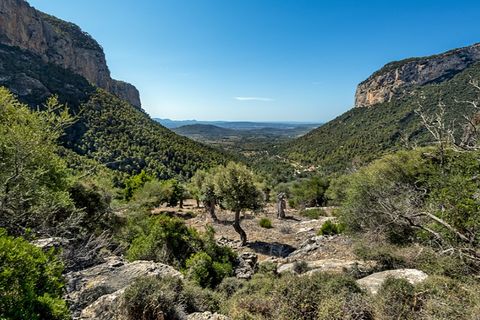 Landejendom i Alaro, Mallorca, Alaro - € 2.500.000 | Ref: 6866 - foto 2