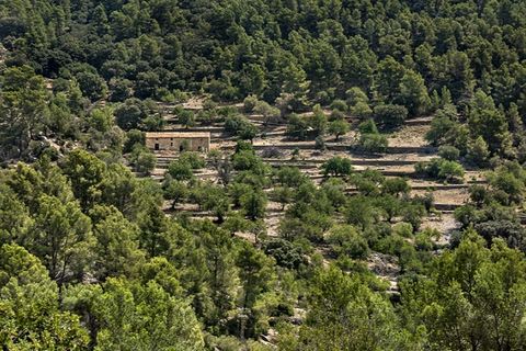 Landejendom i Alaro, Mallorca, Alaro - € 2.500.000 | Ref: 6866 - foto 3