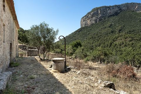 Landejendom i Alaro, Mallorca, Alaro - € 2.500.000 | Ref: 6866 - foto 11
