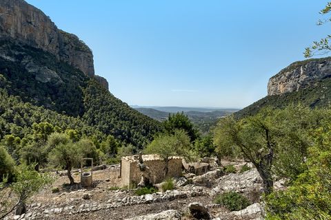 Landejendom i Alaro, Mallorca, Alaro - € 2.500.000 | Ref: 6866 - foto 14