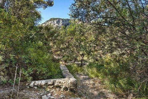 Landejendom i Alaro, Mallorca, Alaro - € 2.500.000 | Ref: 6866 - foto 15