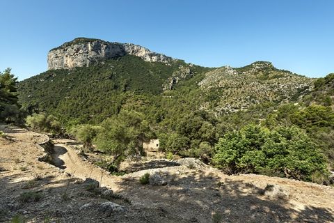 Landejendom i Alaro, Mallorca, Alaro - € 2.500.000 | Ref: 6866 - foto 16