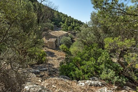 Landejendom i Alaro, Mallorca, Alaro - € 2.500.000 | Ref: 6866 - foto 17