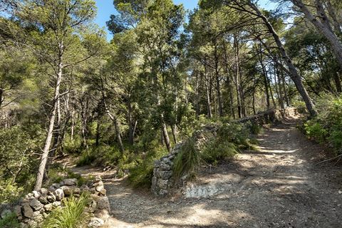 Landejendom i Alaro, Mallorca, Alaro - € 2.500.000 | Ref: 6866 - foto 18