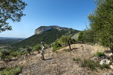 Landejendom i Alaro, Mallorca, Alaro - € 2.500.000 | Ref: 6866 - foto 19