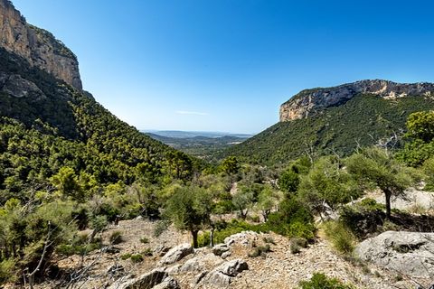 Landejendom i Alaro, Mallorca, Alaro - € 2.500.000 | Ref: 6866 - foto 20