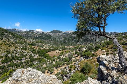 Landejendom i Alaro, Mallorca, Alaro - € 2.500.000 | Ref: 6866 - foto 21