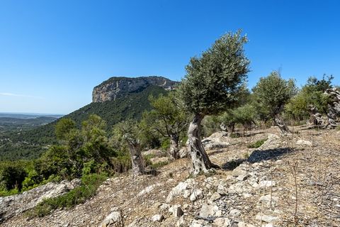 Landejendom i Alaro, Mallorca, Alaro - € 2.500.000 | Ref: 6866 - foto 22