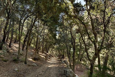 Landejendom i Alaro, Mallorca, Alaro - € 2.500.000 | Ref: 6866 - foto 23