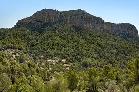 Landejendom i Alaro, Mallorca, Alaro - € 2.500.000 | Ref: 6866 - foto 25