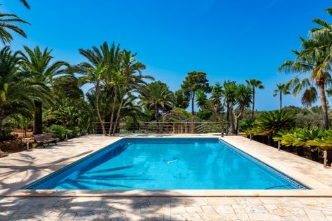 Landejendom i Campos, Mallorca, Campos - € 3.050.000 | Ref: 6592 - foto 16