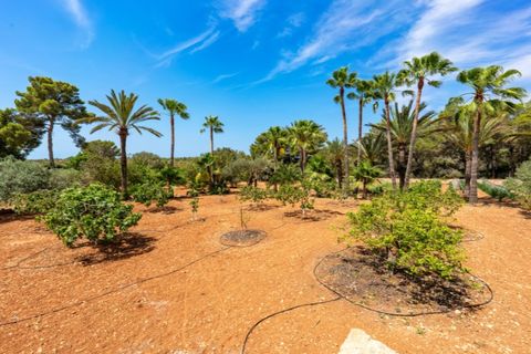 Landejendom i Campos, Mallorca, Campos - € 3.050.000 | Ref: 6592 - foto 18
