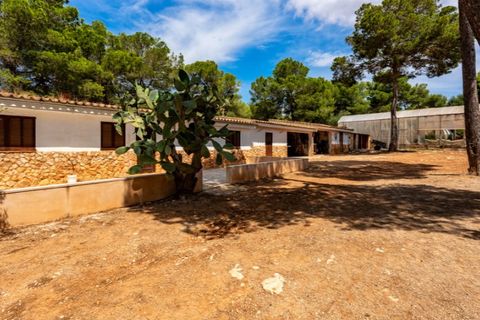 Landejendom i Campos, Mallorca, Campos - € 3.050.000 | Ref: 6592 - foto 19