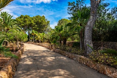 Landejendom i Campos, Mallorca, Campos - € 3.050.000 | Ref: 6592 - foto 20