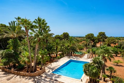 Landejendom i Campos, Mallorca, Campos - € 3.050.000 | Ref: 6592 - foto 21