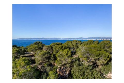 Villa a Cala Blava, Mallorca, Cala Blava - € 10.000.000 | Ref: 6500 - foto 2