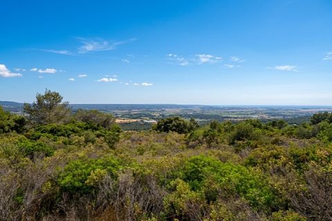 Tomt i Puntiro, Mallorca, Puntiro - € 770 000 | Ref: 6465 - foto 2