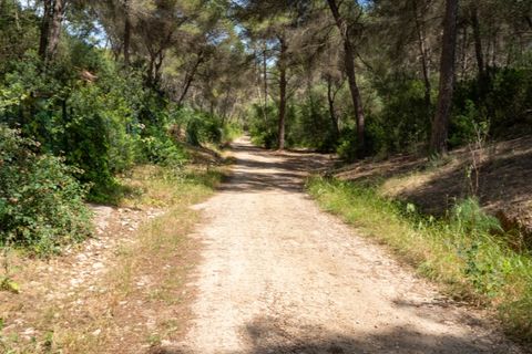 Lejlighed i Sol De Mallorca, Mallorca, Sol De Mallorca - € 745.000 | Ref: 6427 - foto 28