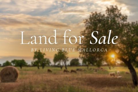 Grond in Llubi, Mallorca, Llubi - € 370.000 | Ref: 6412 - foto 2