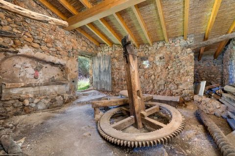 Landejendom i Deia, Mallorca, Deia - € 3.900.000 | Ref: 6377 - foto 12
