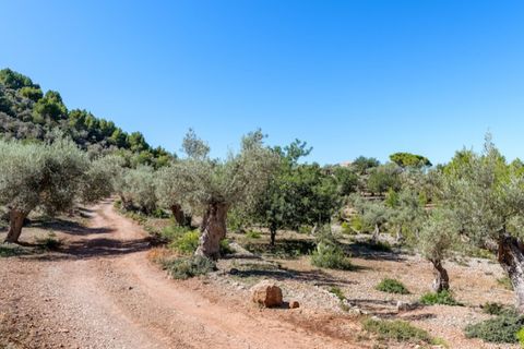 Landejendom i Deia, Mallorca, Deia - € 3.900.000 | Ref: 6377 - foto 16
