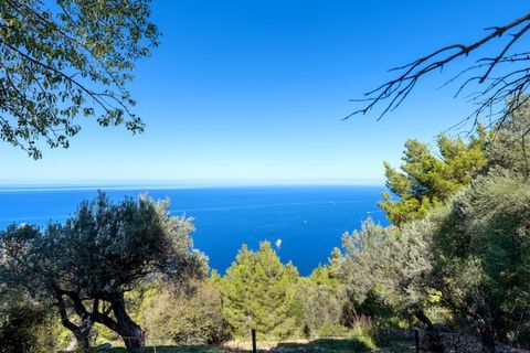Landejendom i Deia, Mallorca, Deia - € 3.900.000 | Ref: 6377 - foto 17