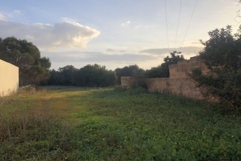 Terra a Campos, Mallorca, Campos - € 220.000 | Ref: 6367 - foto 2