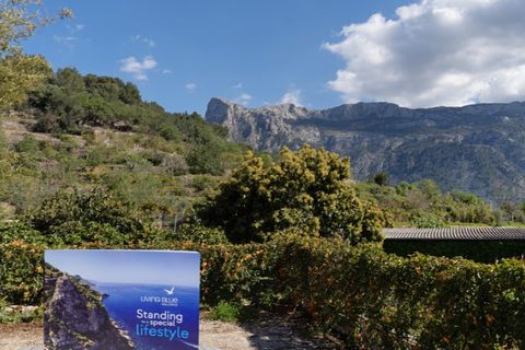 Landejendom i Soller, Mallorca, Soller - € 950.000 | Ref: 6326 - foto 17