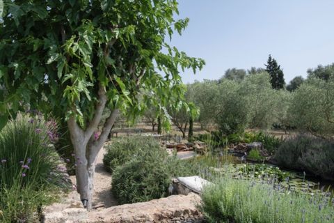 Landejendom i Llubi, Mallorca, Llubi - € 2.750.000 | Ref: 7094 - foto 21