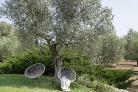 Landejendom i Llubi, Mallorca, Llubi - € 2.750.000 | Ref: 7094 - foto 22