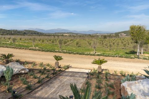 Herregård i Algaida, Mallorca, Algaida - € 17 500 000 | Ref: 6293 - foto 29