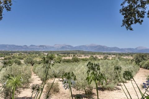 Landejendom i Sencelles, Mallorca, Sencelles - € 3.900.000 | Ref: 6287 - foto 19