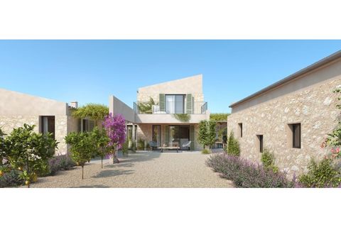 Terra a Manacor, Mallorca, Manacor - € 390.000 | Ref: 6282 - foto 11
