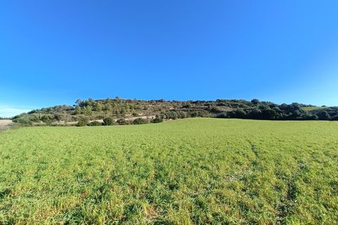 Terra a Manacor, Mallorca, Manacor - € 385.000 | Ref: 6262 - foto 4
