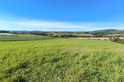 Terra a Manacor, Mallorca, Manacor - € 385.000 | Ref: 6262 - foto 7