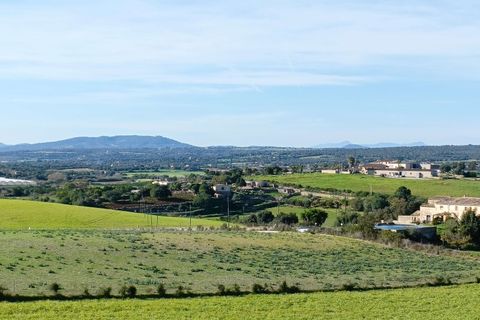 Terra a Manacor, Mallorca, Manacor - € 385.000 | Ref: 6262 - foto 8