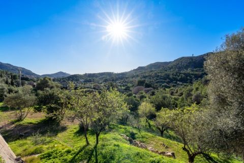 Villa a Andratx, Mallorca, Andratx - € 1.090.000 | Ref: 6243 - foto 20