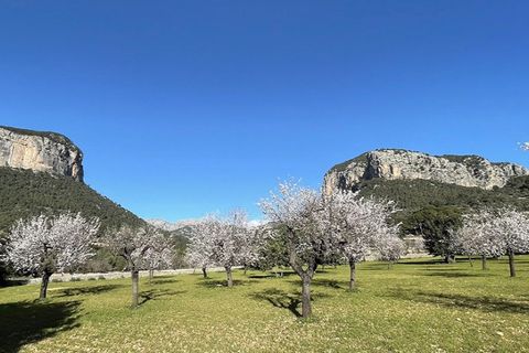 Terra a Sencelles, Mallorca, Sencelles - € 750.000 | Ref: 6236 - foto 2