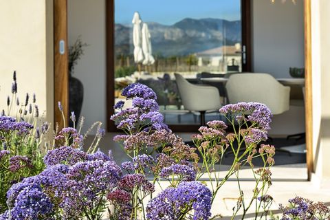 Landejendom i Binissalem, Mallorca, Binissalem - € 3.995.000 | Ref: 6224 - foto 2
