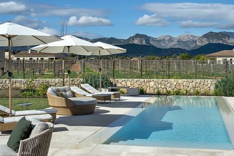 Landejendom i Binissalem, Mallorca, Binissalem - € 3.995.000 | Ref: 6224 - foto 3
