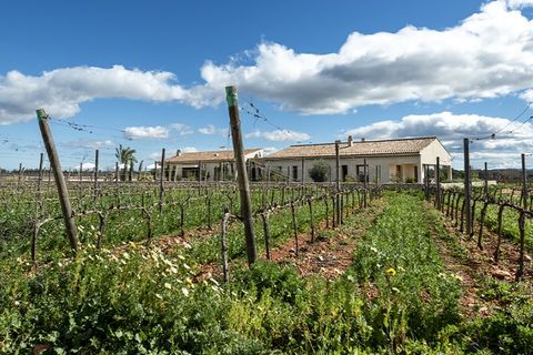 Landejendom i Binissalem, Mallorca, Binissalem - € 3.995.000 | Ref: 6224 - foto 22