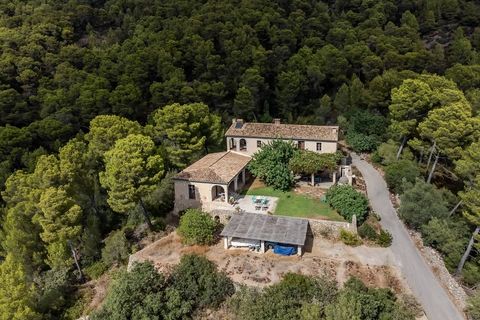 Landejendom i Andratx, Mallorca, Andratx - € 3.900.000 | Ref: 6202 - foto 3