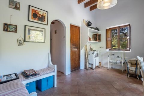 Landejendom i Andratx, Mallorca, Andratx - € 3.900.000 | Ref: 6202 - foto 7