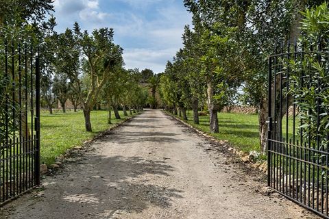 Landejendom i Campos, Mallorca, Campos - € 2.250.000 | Ref: 6154 - foto 6