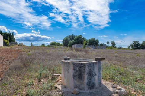 Terra a Manacor, Mallorca, Manacor - € 550.000 | Ref: 6089 - foto 3