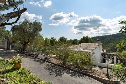 Landejendom i Establiments, Mallorca, Establiments - € 2.600.000 | Ref: 5875 - foto 29