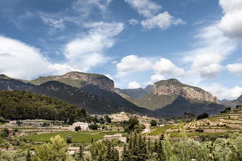 Landejendom i Alaro, Mallorca, Alaro - € 716.000 | Ref: 5643 - foto 3
