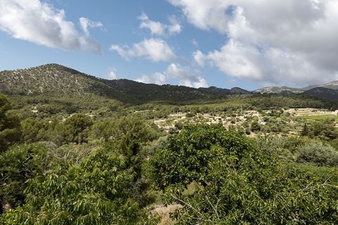 Landejendom i Alaro, Mallorca, Alaro - € 716.000 | Ref: 5643 - foto 22