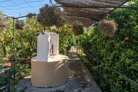 Landejendom i Soller, Mallorca, Soller - € 1.500.000 | Ref: 5476 - foto 11